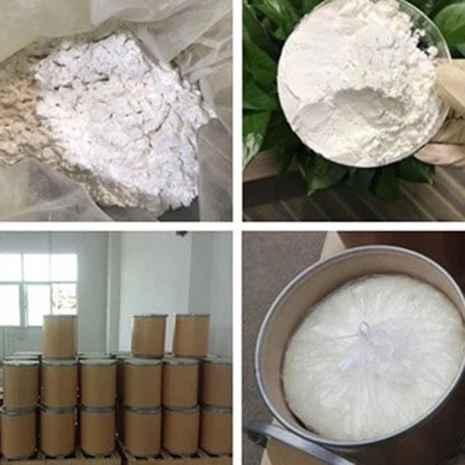 Peptone Powder CAS 73049-73-7